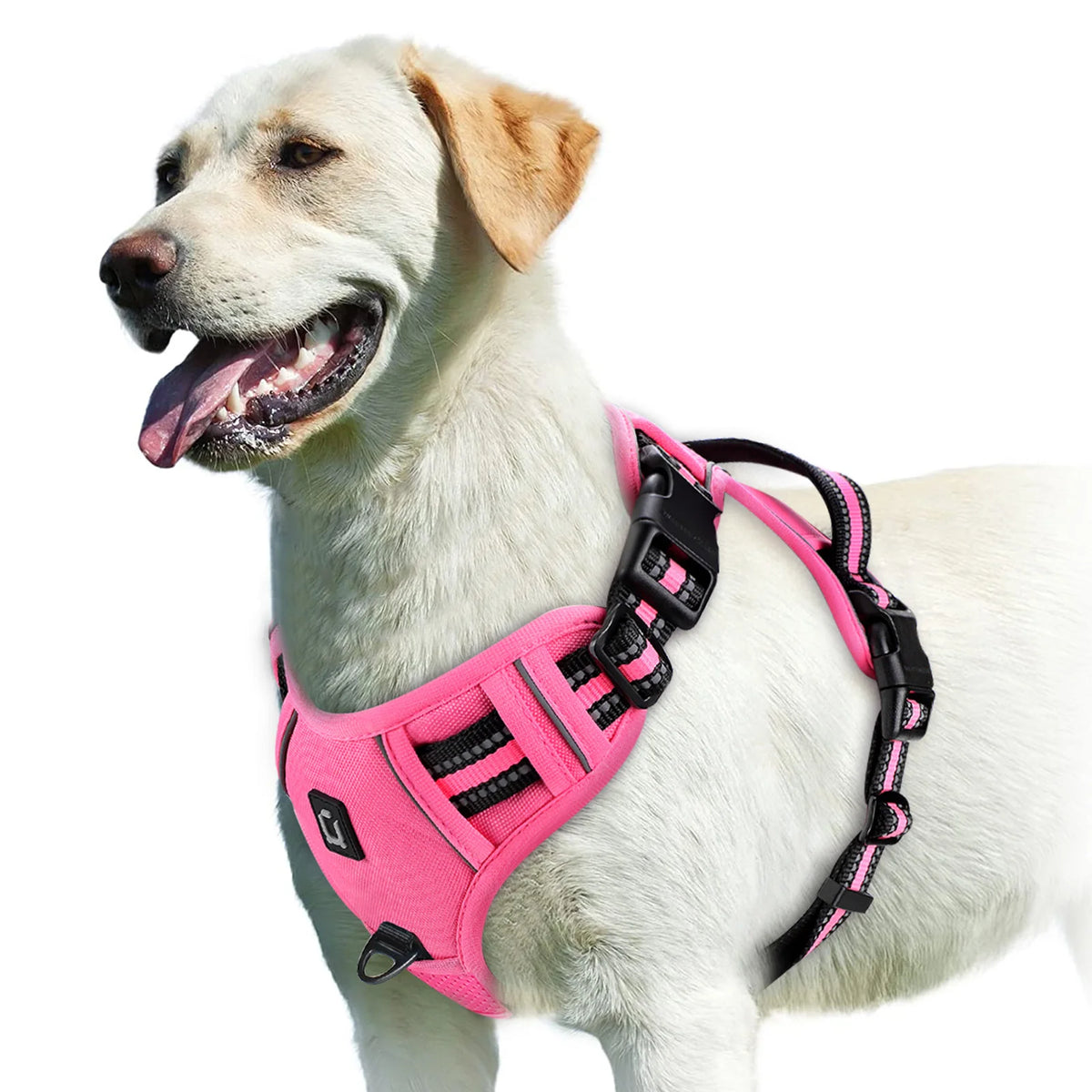No Pull Adjustable Padded Dog Harness Vest