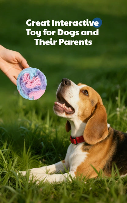 Interactive Dog Snuffle Ball For Nose Work Training