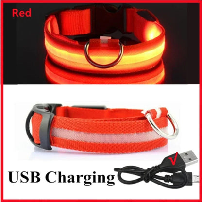 USB Rechargeable LED Light Dog Collar For Night Safety