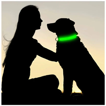USB Rechargeable LED Light Dog Collar For Night Safety