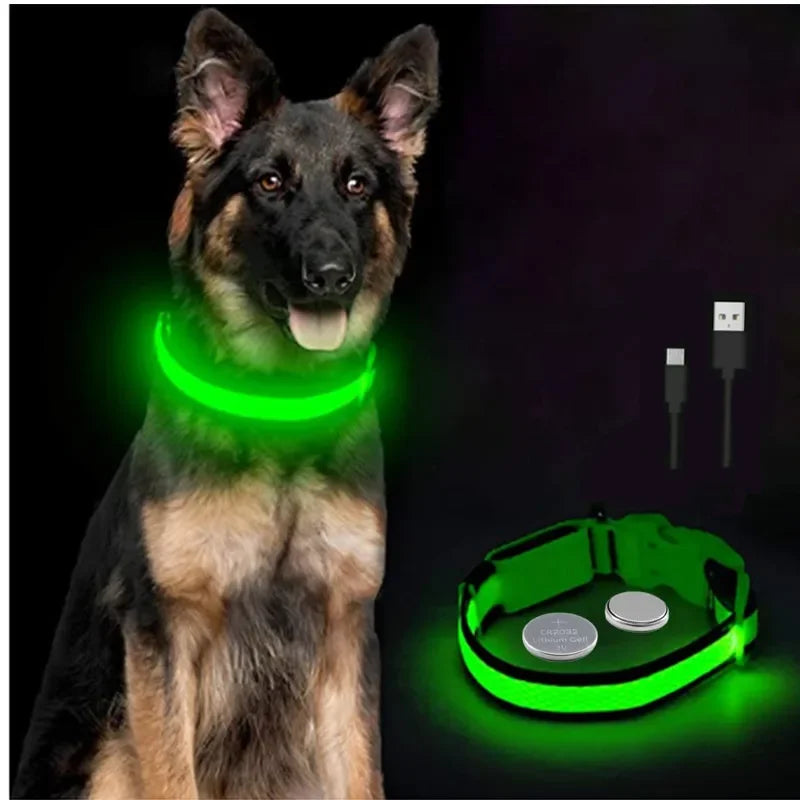 USB Rechargeable LED Light Dog Collar For Night Safety