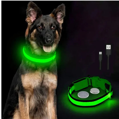 USB Rechargeable LED Light Dog Collar For Night Safety