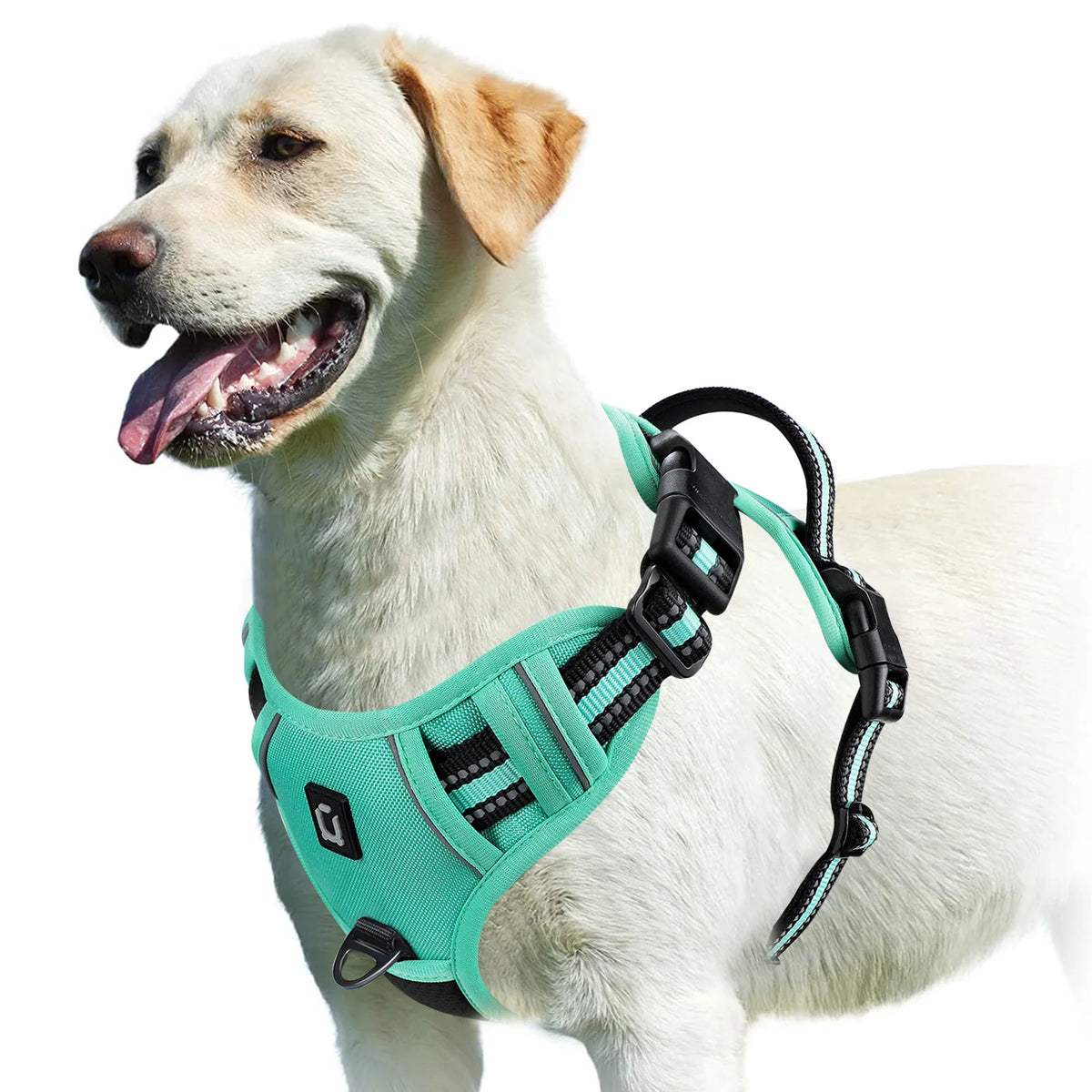 No Pull Adjustable Padded Dog Harness Vest