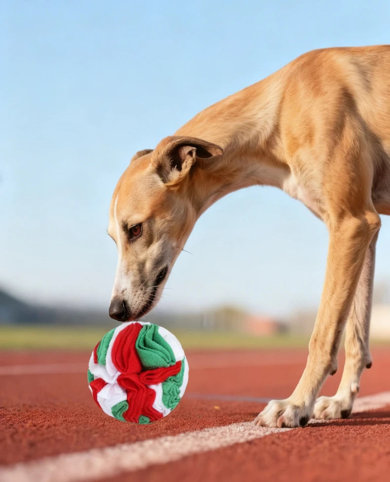 Interactive Dog Snuffle Ball For Nose Work Training