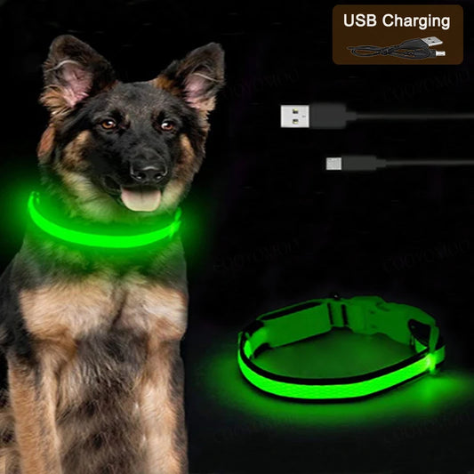 USB Rechargeable LED Light Dog Collar For Night Safety