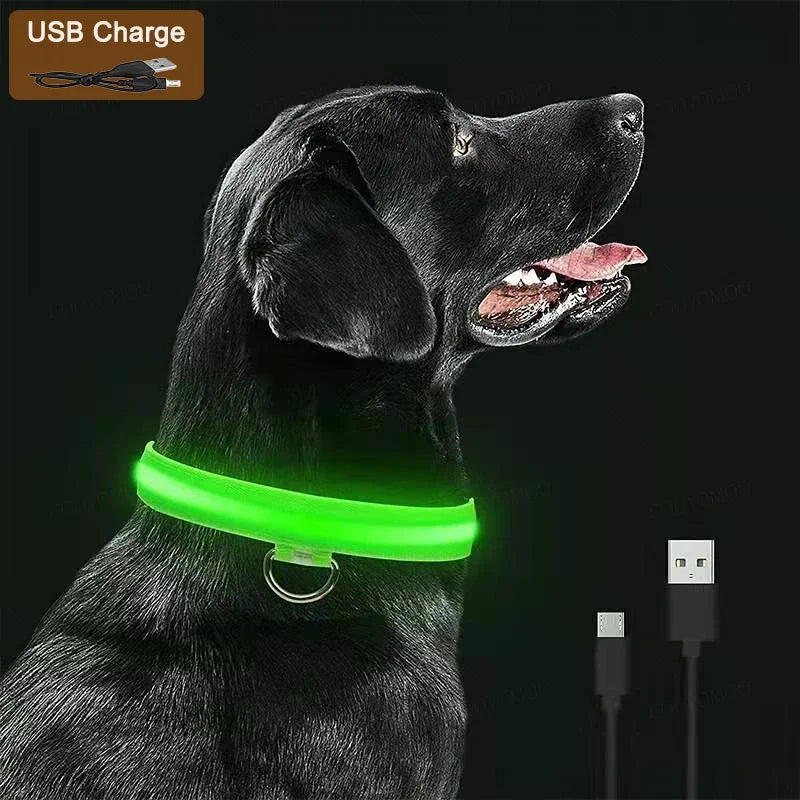 USB Rechargeable LED Light Dog Collar For Night Safety