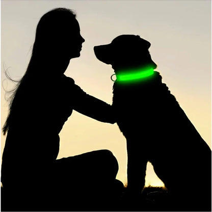 USB Rechargeable LED Light Dog Collar For Night Safety