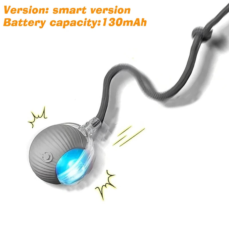 Cat Chase Ball – Rechargeable Self-Rolling Toy with Tail