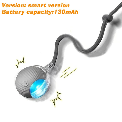 Cat Chase Ball – Rechargeable Self-Rolling Toy with Tail