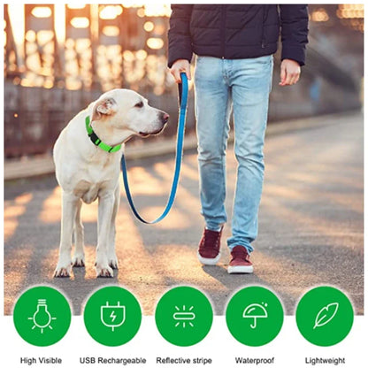 USB Rechargeable LED Light Dog Collar For Night Safety