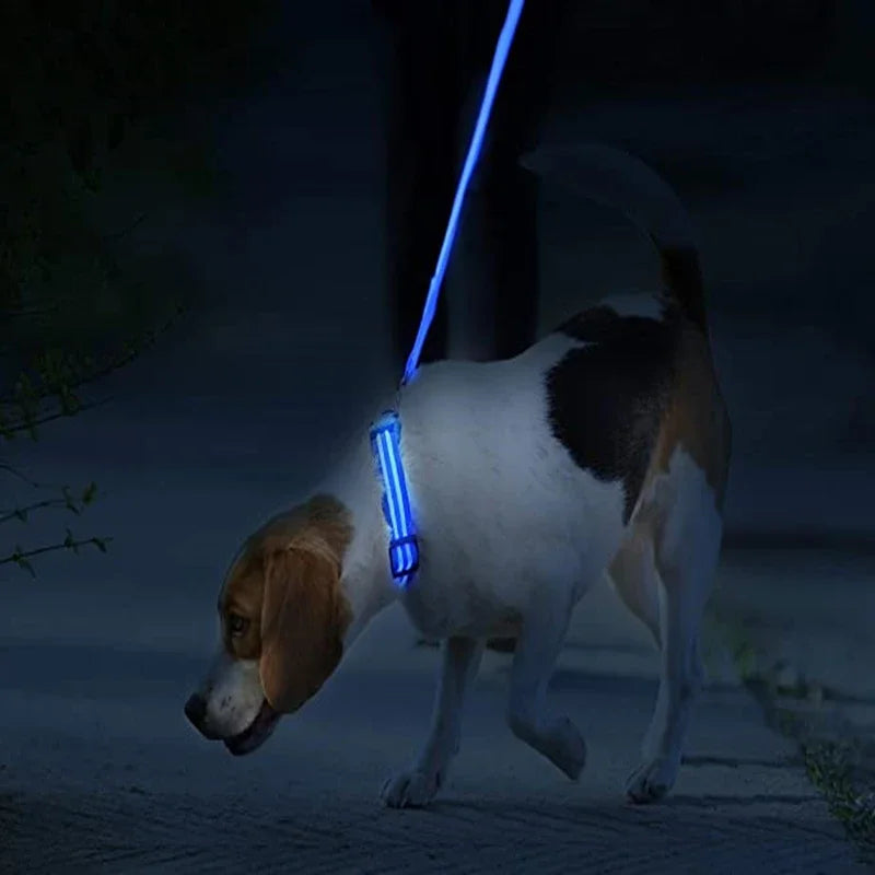 USB Rechargeable LED Light Dog Collar For Night Safety