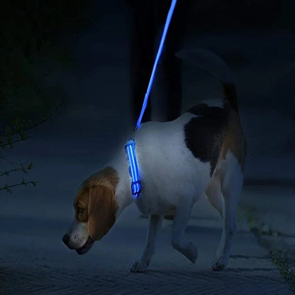 USB Rechargeable LED Light Dog Collar For Night Safety