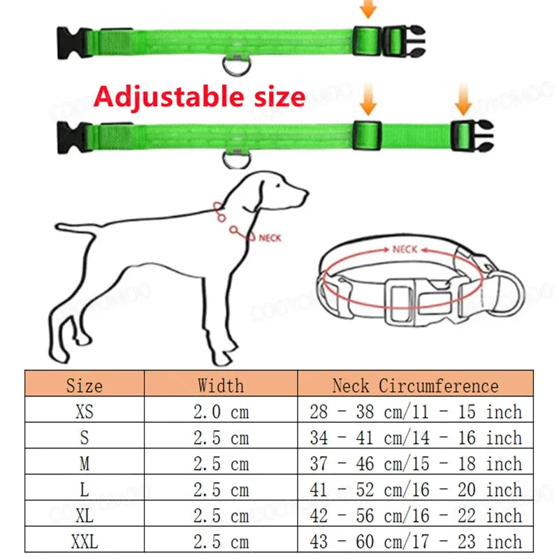 USB Rechargeable LED Light Dog Collar For Night Safety