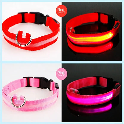 USB Rechargeable LED Light Dog Collar For Night Safety