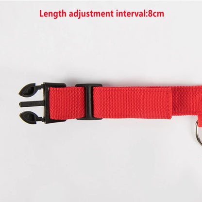 USB Rechargeable LED Light Dog Collar For Night Safety