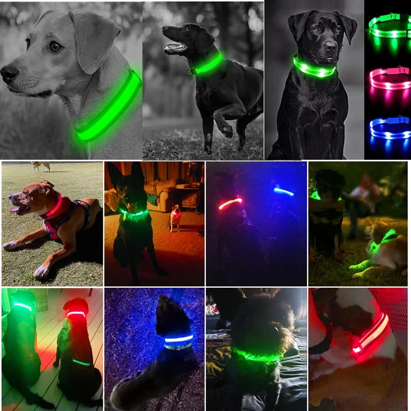 USB Rechargeable LED Light Dog Collar For Night Safety