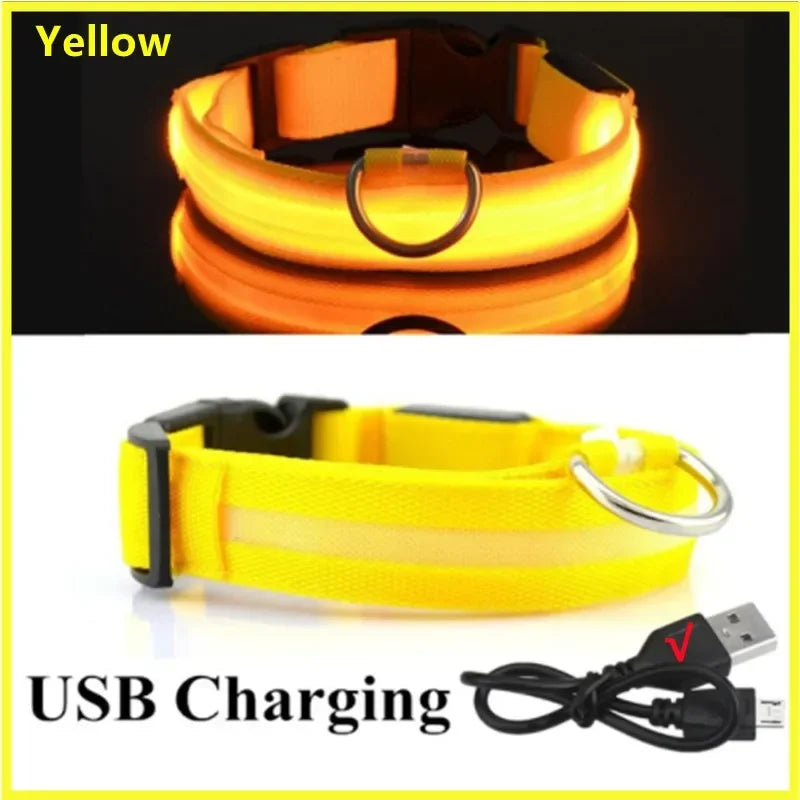 USB Rechargeable LED Light Dog Collar For Night Safety