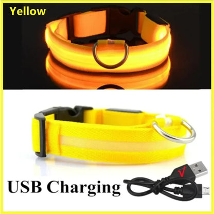 USB Rechargeable LED Light Dog Collar For Night Safety