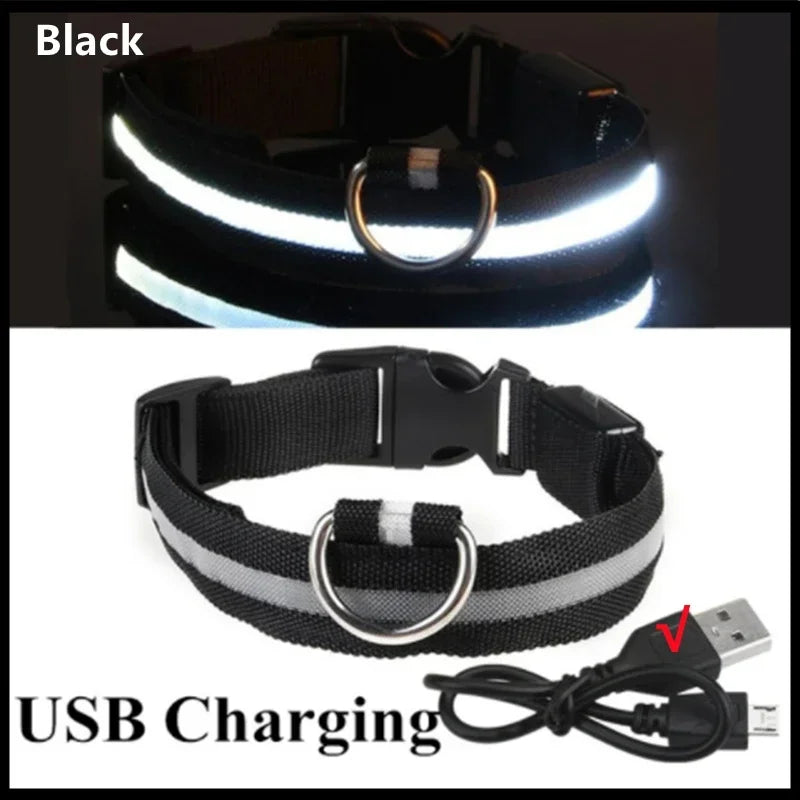 USB Rechargeable LED Light Dog Collar For Night Safety