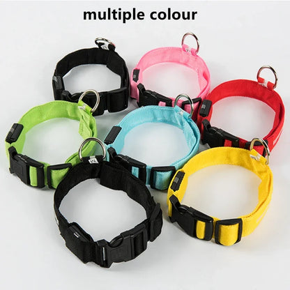 USB Rechargeable LED Light Dog Collar For Night Safety