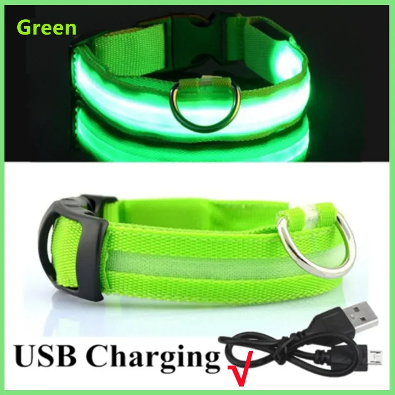 USB Rechargeable LED Light Dog Collar For Night Safety