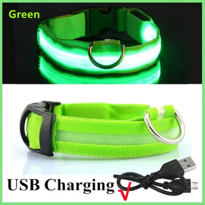 USB Rechargeable LED Light Dog Collar For Night Safety