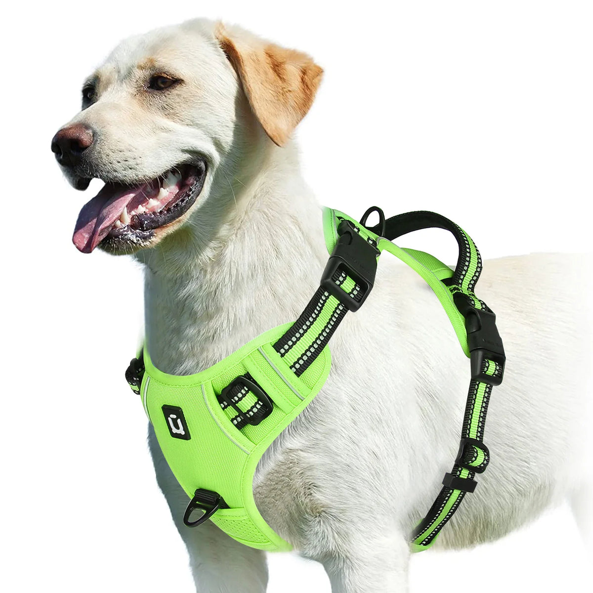 No Pull Adjustable Padded Dog Harness Vest