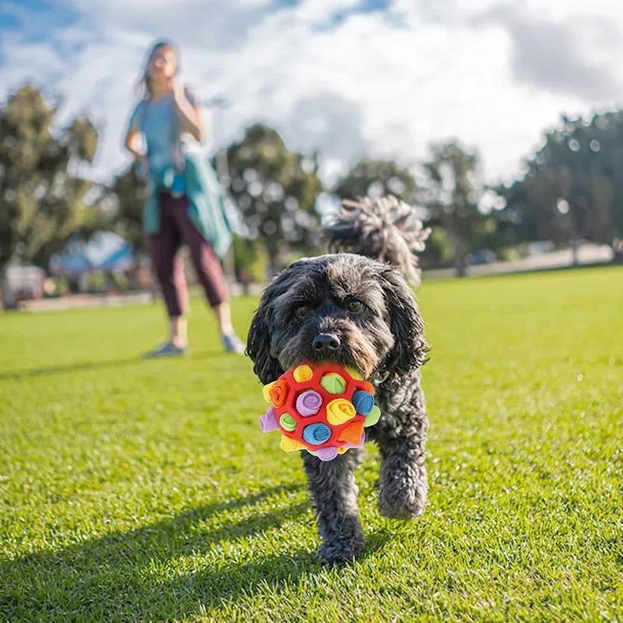 Dog playing with the snuffle ball outdoors