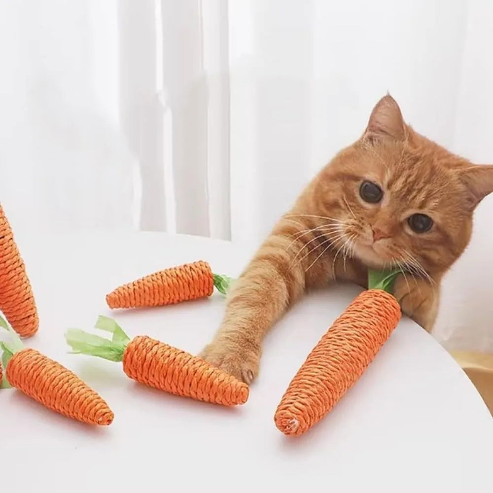 Cat Corner Self Grooming Brush With Catnip