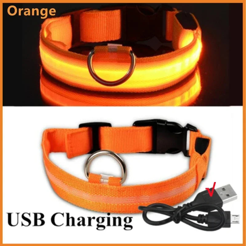 USB Rechargeable LED Light Dog Collar For Night Safety