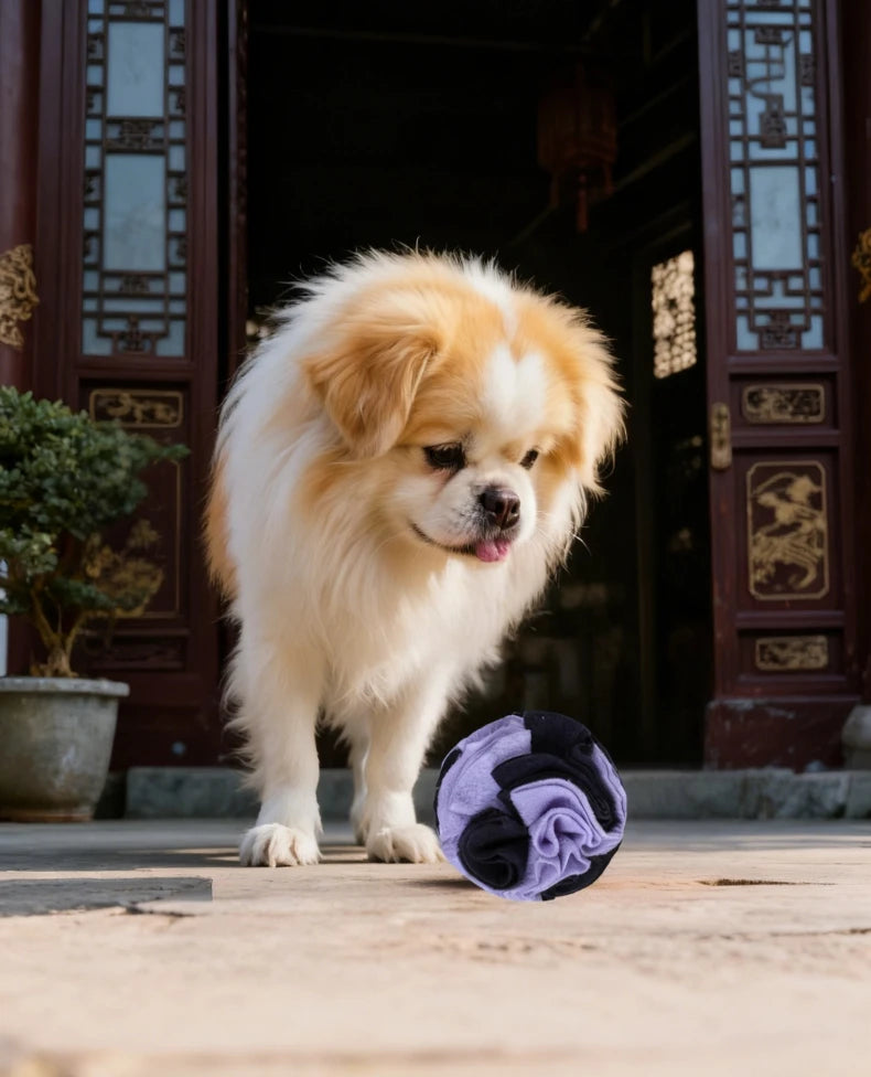 Interactive Dog Snuffle Ball For Nose Work Training