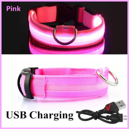 USB Rechargeable LED Light Dog Collar For Night Safety
