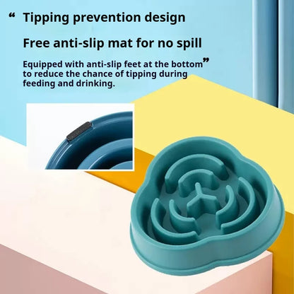Anti Choking Slow Feeder Dog Bowl