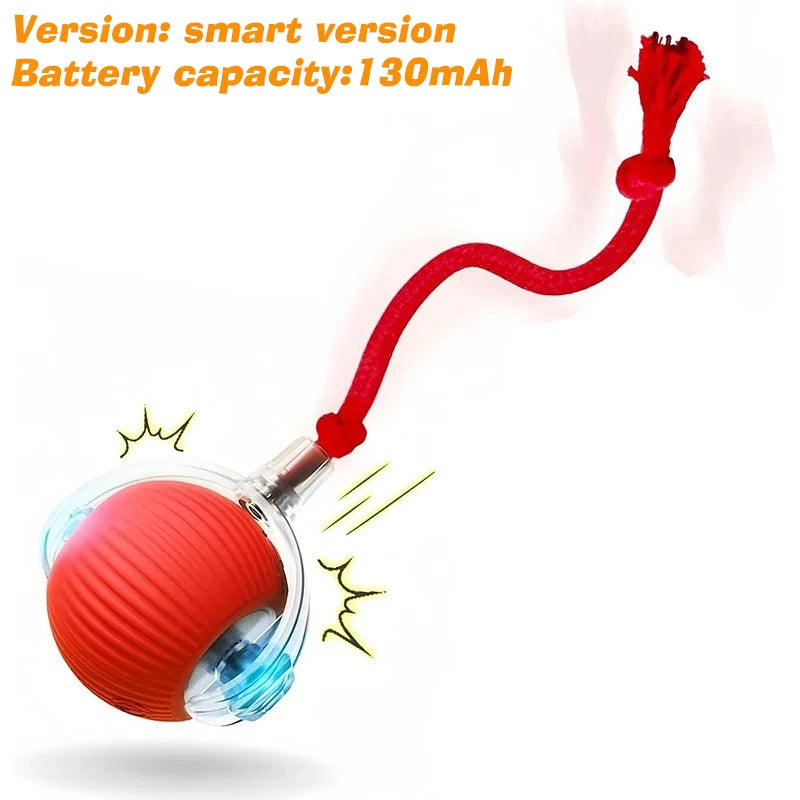 Cat Chase Ball – Rechargeable Self-Rolling Toy with Tail