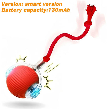 Cat Chase Ball – Rechargeable Self-Rolling Toy with Tail