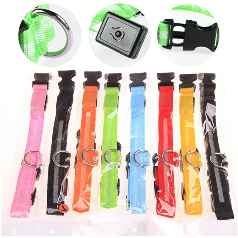 USB Rechargeable LED Light Dog Collar For Night Safety