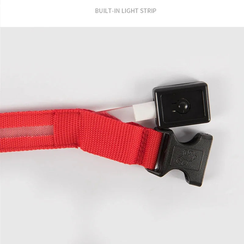 USB Rechargeable LED Light Dog Collar For Night Safety