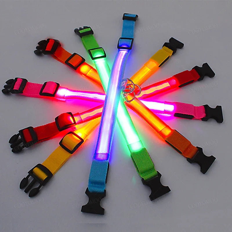 USB Rechargeable LED Light Dog Collar For Night Safety