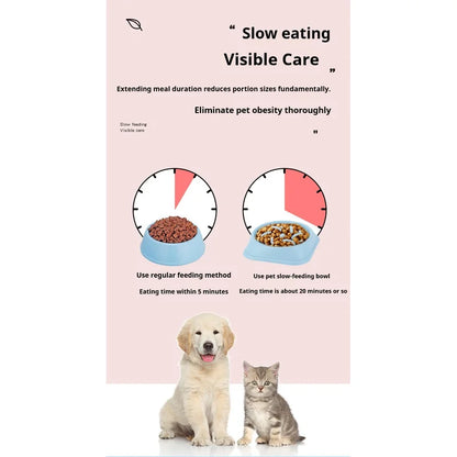 Anti Choking Slow Feeder Dog Bowl
