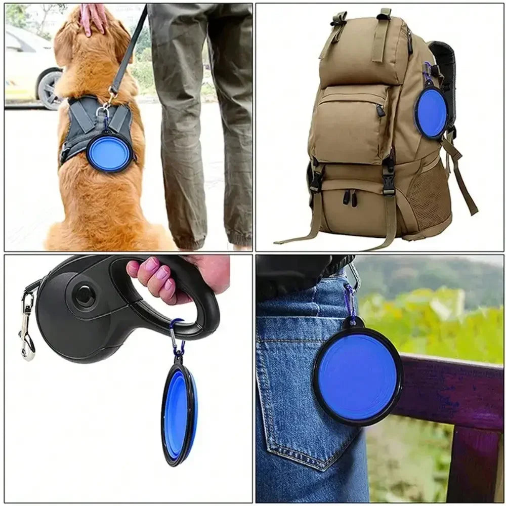 Portable 2-in-1 Folding Dog Travel Bowl With Water Bottle