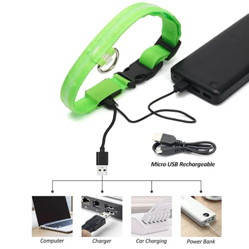 USB Rechargeable LED Light Dog Collar For Night Safety