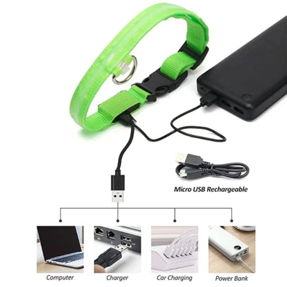 USB Rechargeable LED Light Dog Collar For Night Safety