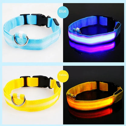 USB Rechargeable LED Light Dog Collar For Night Safety