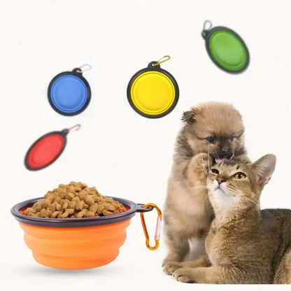 Portable 2-in-1 Folding Dog Travel Bowl With Water Bottle