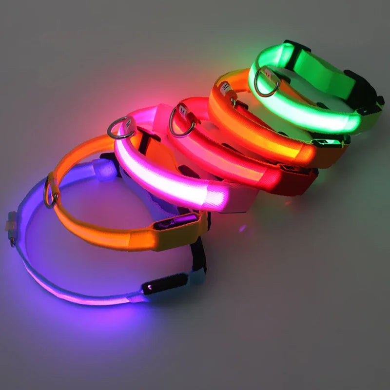 USB Rechargeable LED Light Dog Collar For Night Safety