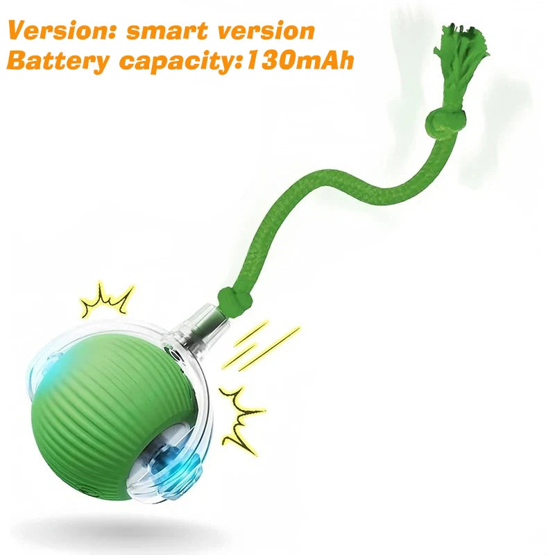 Cat Chase Ball – Rechargeable Self-Rolling Toy with Tail
