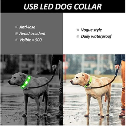 USB Rechargeable LED Light Dog Collar For Night Safety