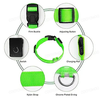 USB Rechargeable LED Light Dog Collar For Night Safety