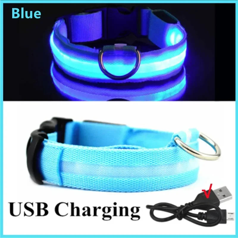 USB Rechargeable LED Light Dog Collar For Night Safety