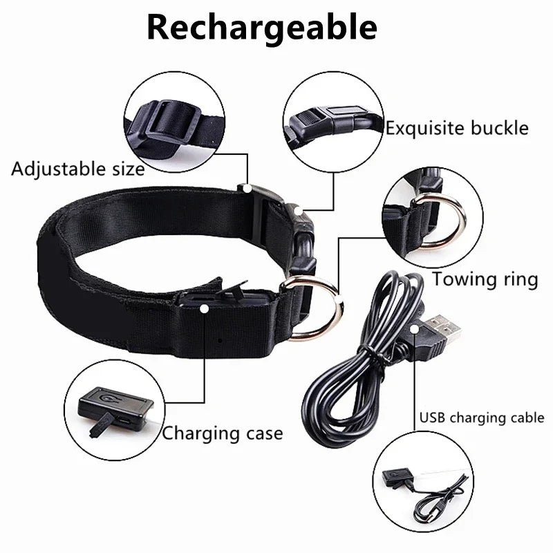 USB Rechargeable LED Light Dog Collar For Night Safety